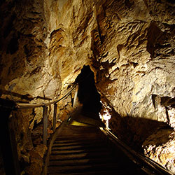 Zejście schodami do Sali Lwa Jaskiniowego